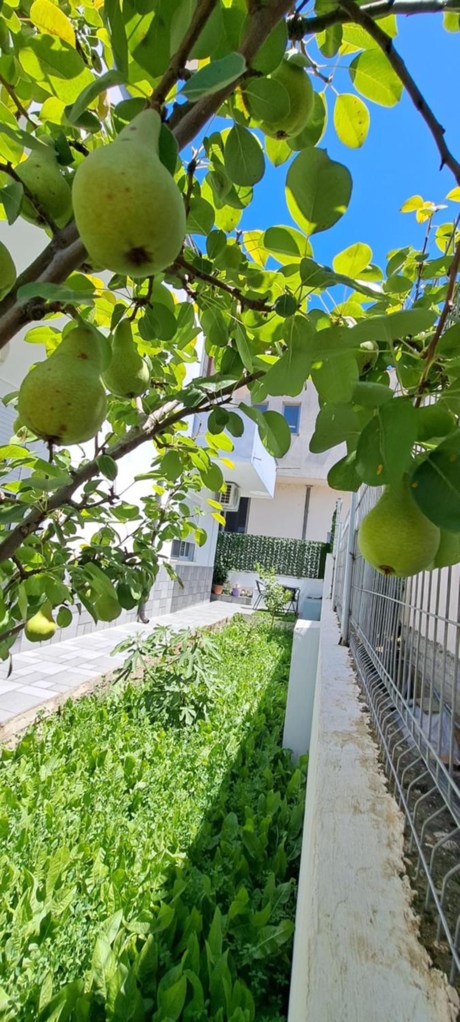 Villa Likaj Berat Kamer foto